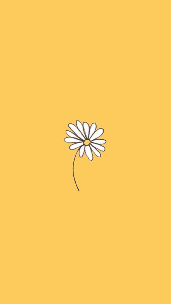 Aesthetic Daisy Wallpapers - Top Free Aesthetic Daisy Backgrounds ...