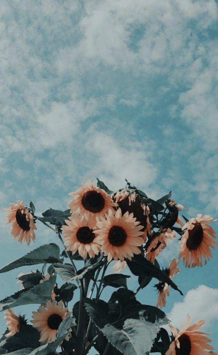 750x1218 Aesthetic Vintage Wallpaper