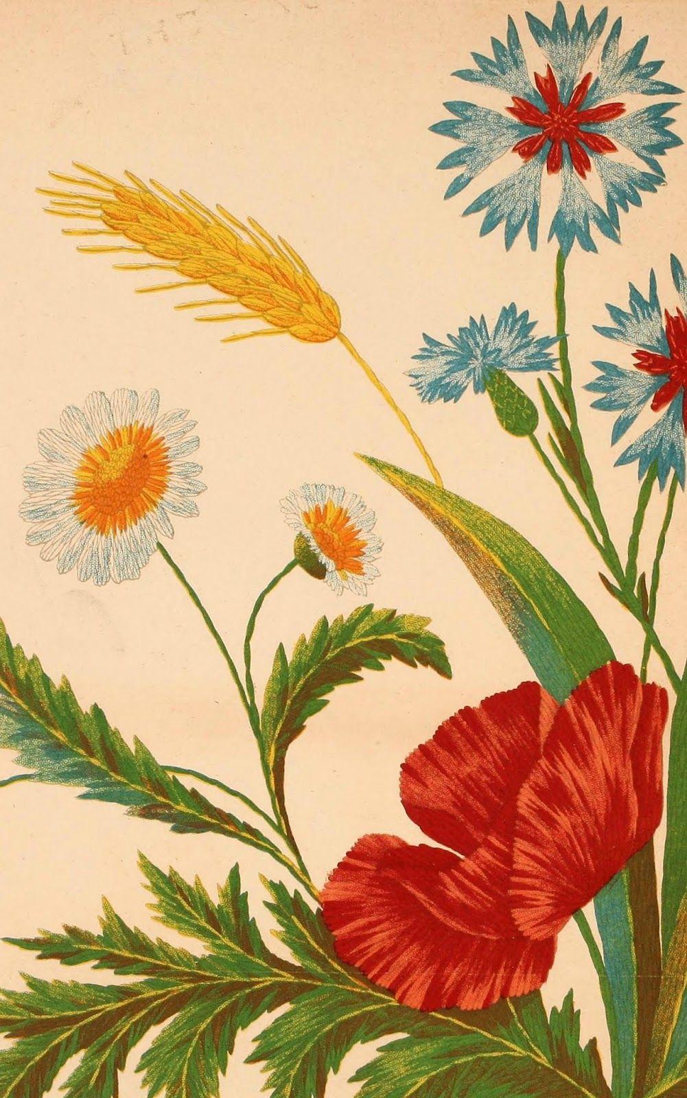 Vintage Daisy Wallpapers Top Free Vintage Daisy Backgrounds