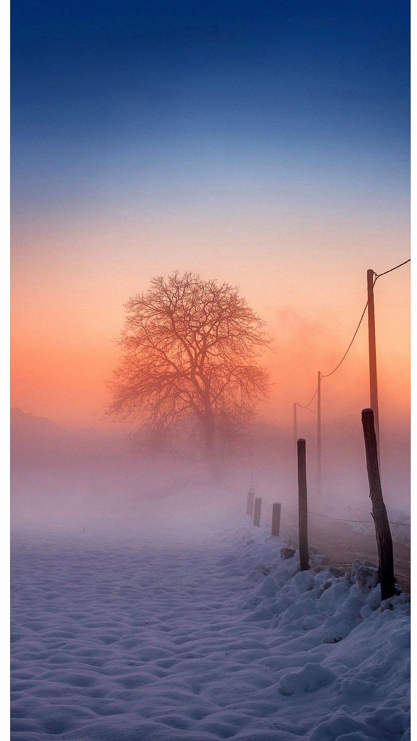 1440x2560 Winter iPhone 6 Wallpaper Fresh Winter Scenery iPhone 6s