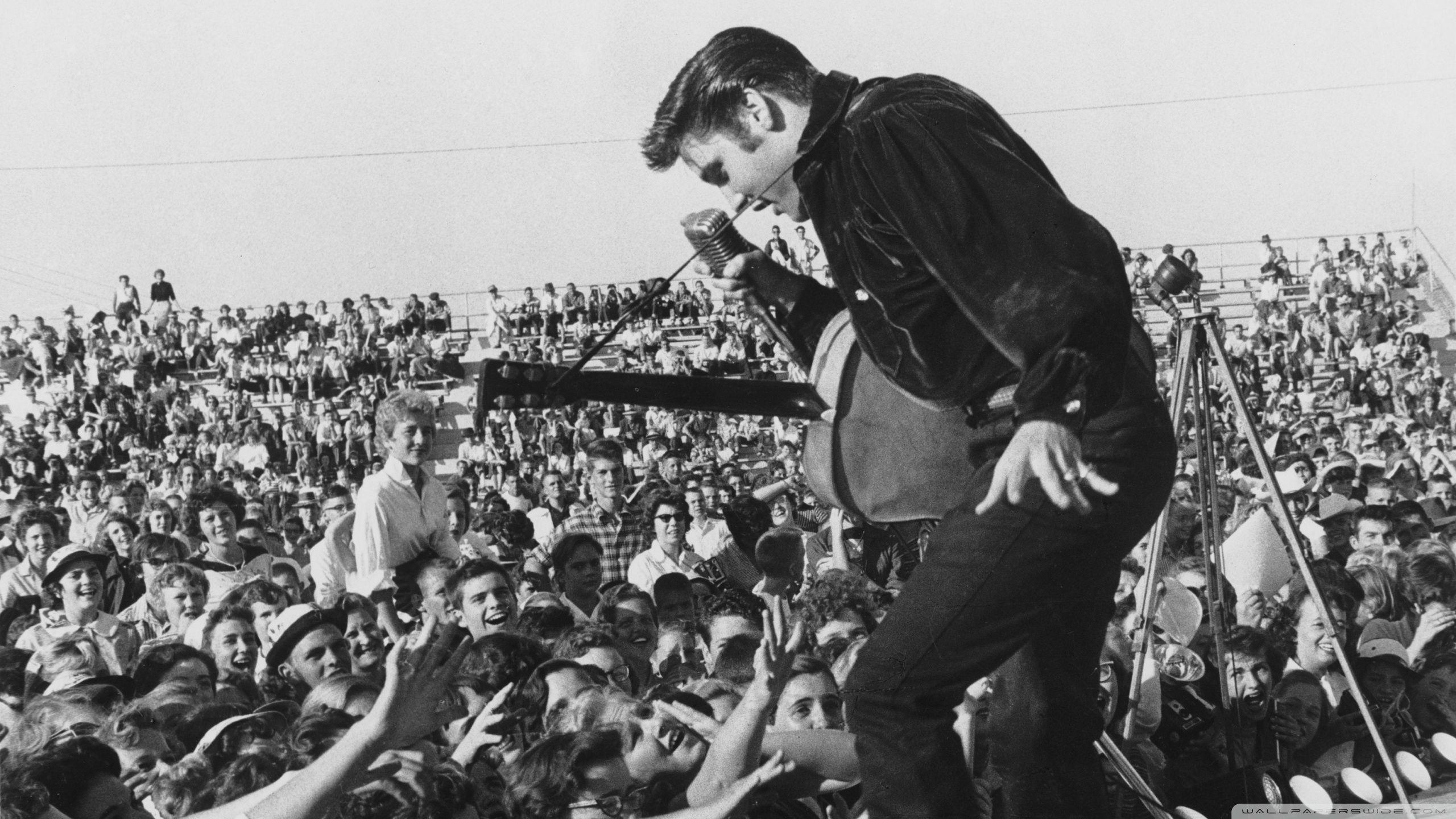 2560x1440 Elvis Presley In Concert Ultra HD Desktop Background Wallpaper