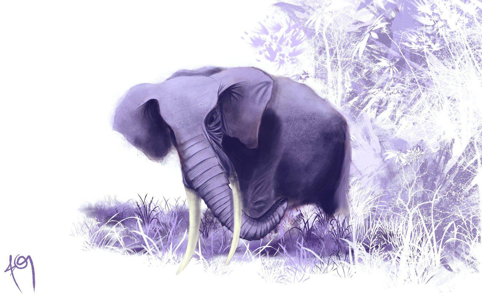 Purple Elephant Desktop Wallpapers - Top Free Purple Elephant Desktop ...