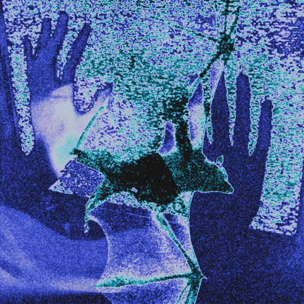 1000x1000 Spyrul