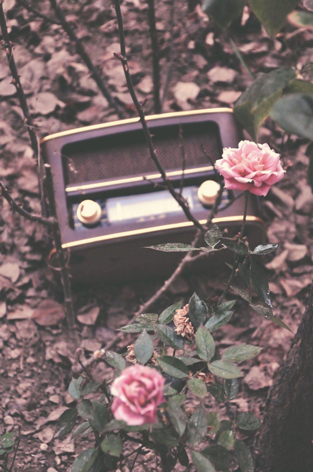 1000x1506 Old Radio Picture. Download Free Image