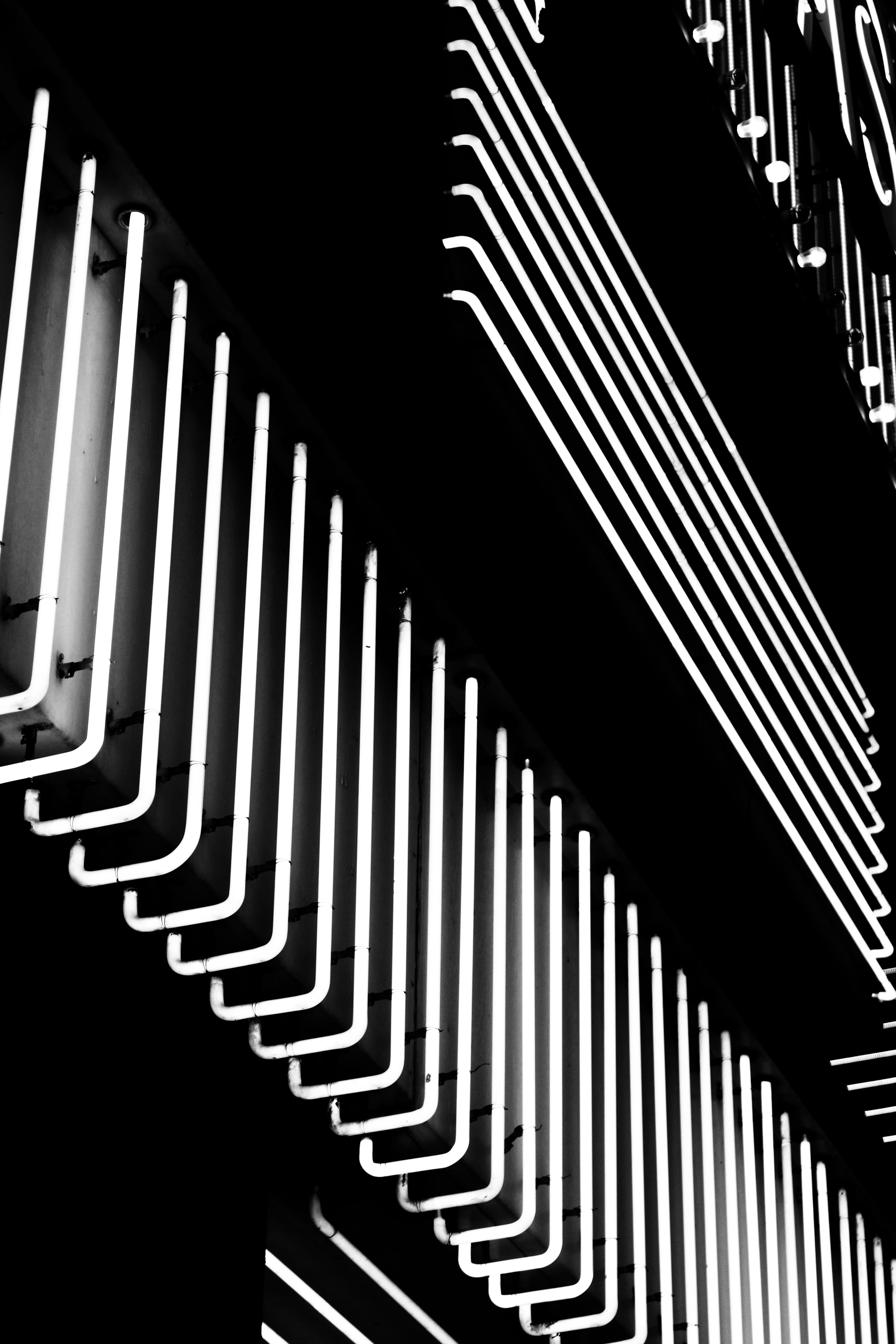 4000x6000 Neon Lights Photo, Download The BEST Free Neon Lights & HD Image
