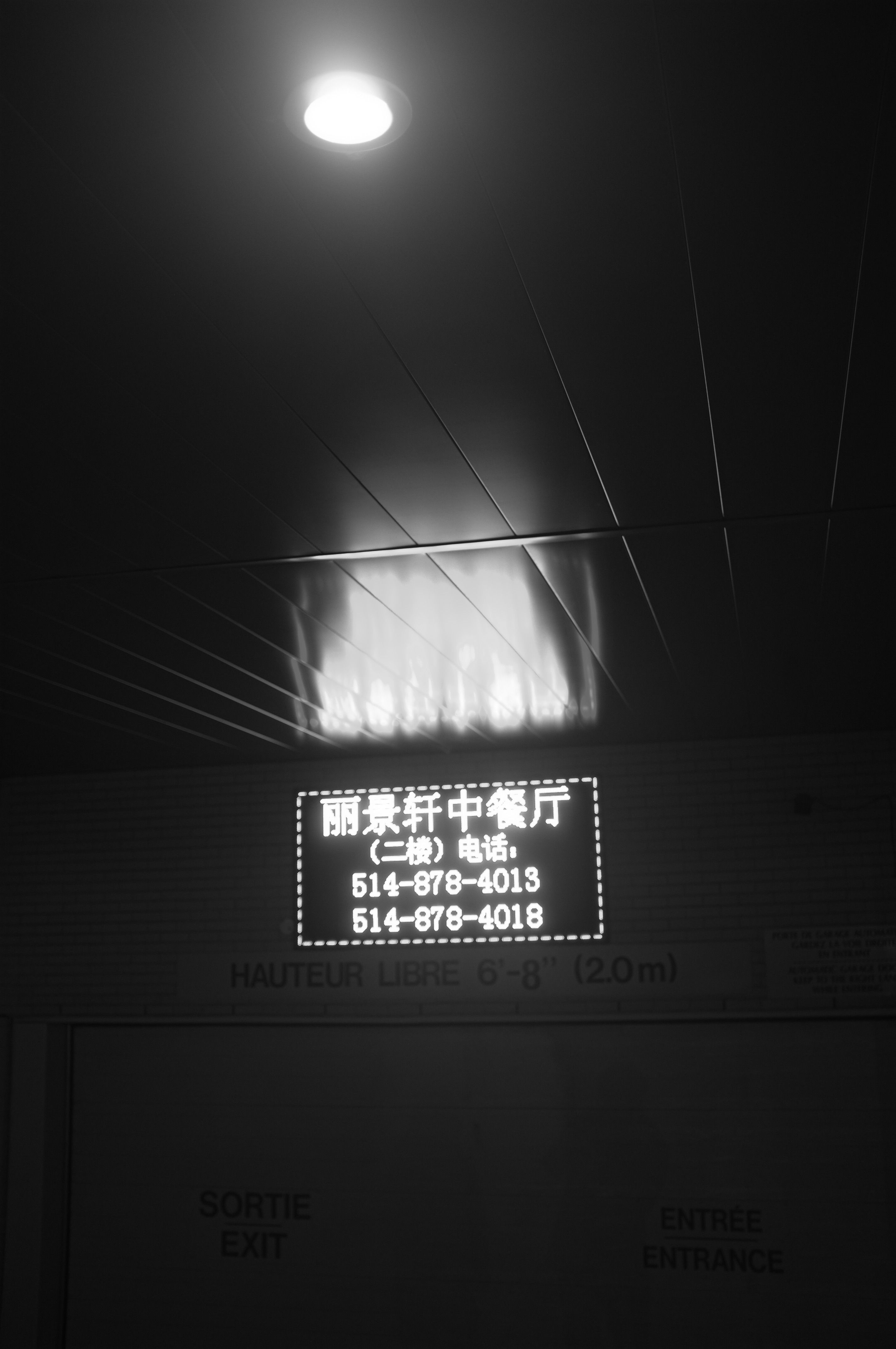 2848x4288 Black and White Photo of a Neon Sign in Chinese · Free