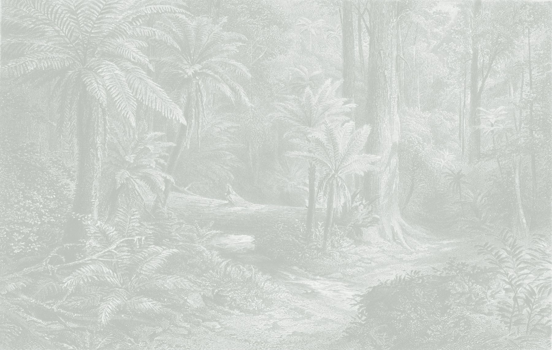 1800x1141 Etched Australian Rainforest Green
