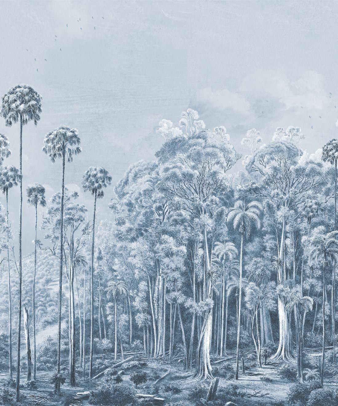 1100x1320 Kimberley Mural • Australian Forest Landscape Wallpaper UK