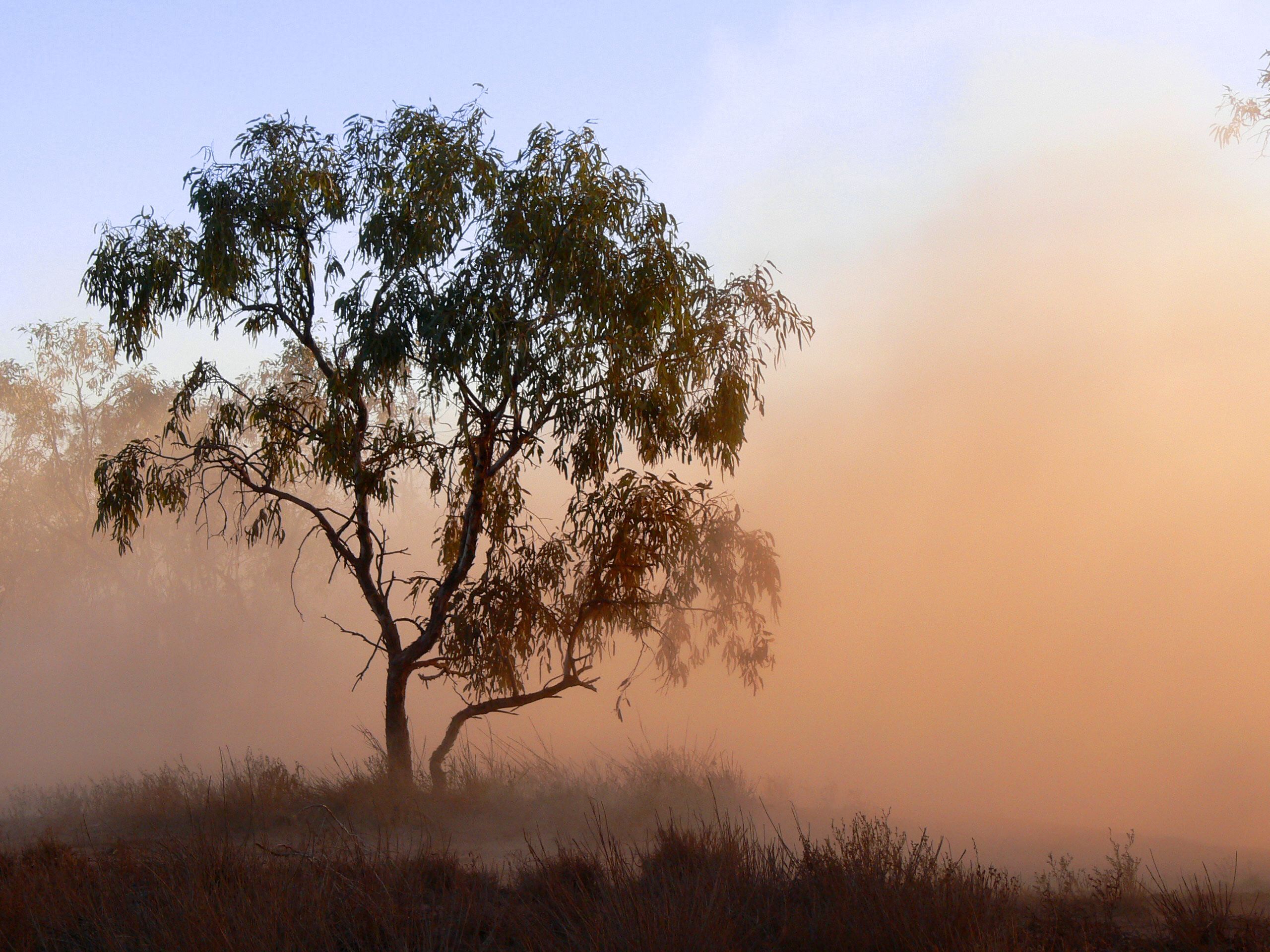 2560x1920 Australian Environment Photo, Download The BEST Free Australian Environment & HD Image