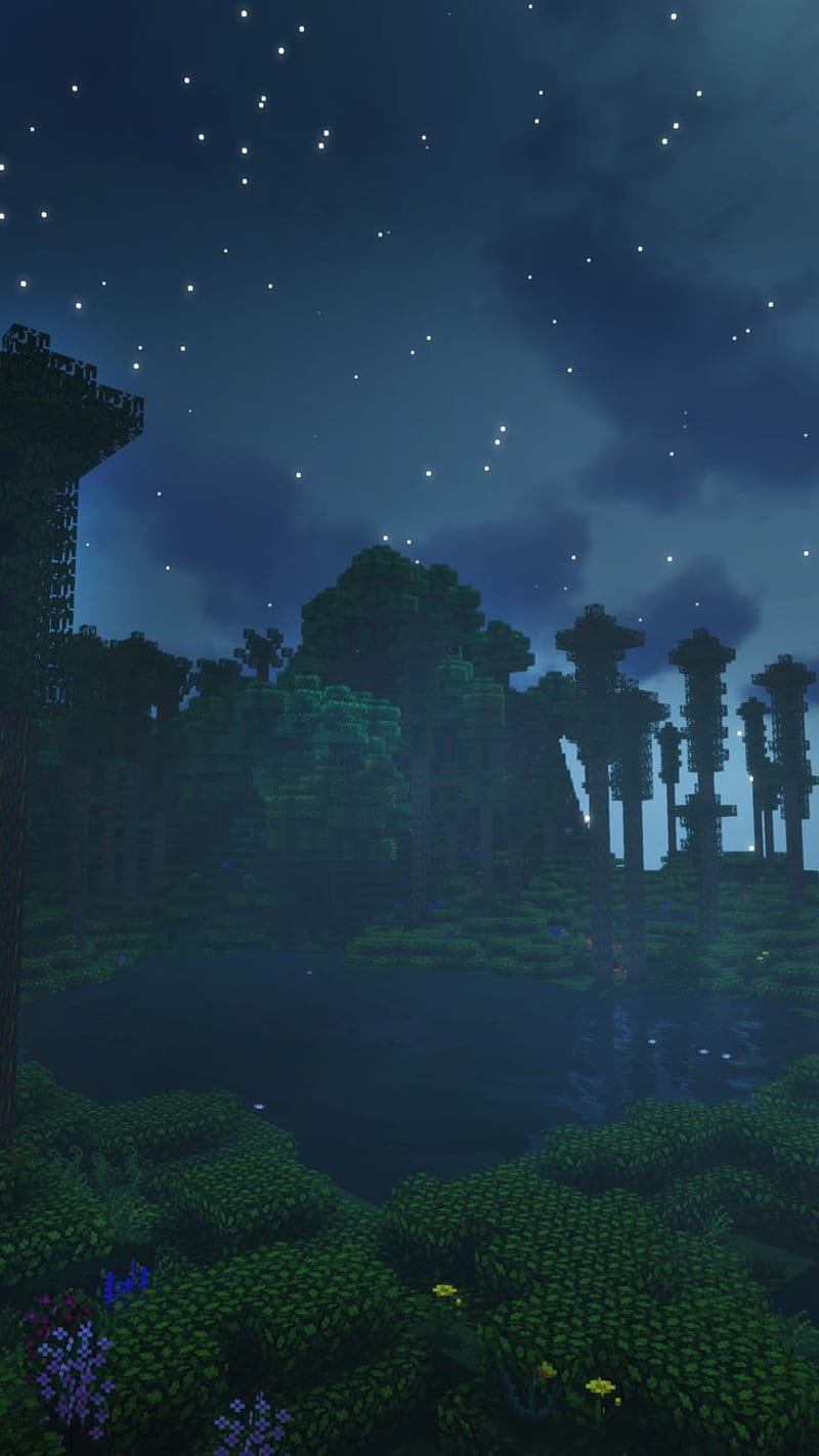 800x1422 Night Minecraft forest in 2021. Minecraft, Mc, Minecraft art. Minecraft, Minecraft, HD phone wallpaper