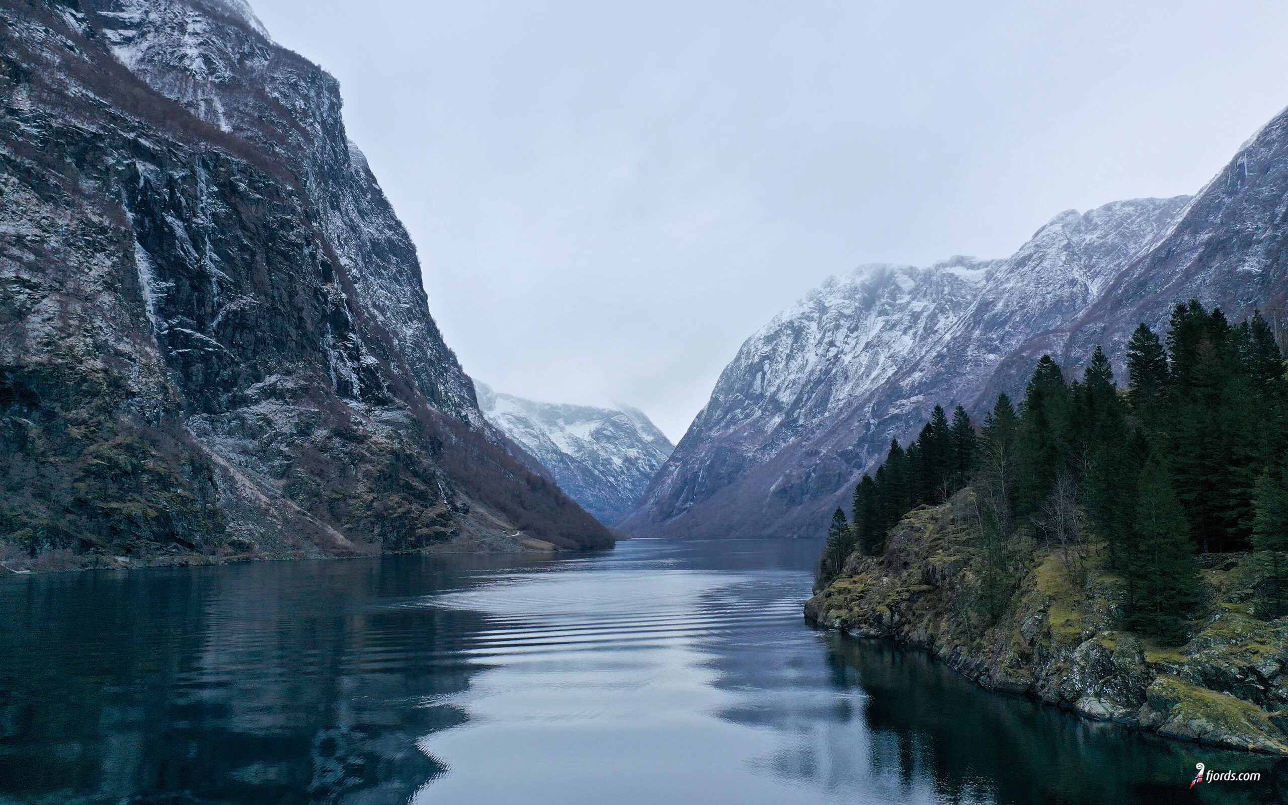 2560x1600 The Fjords in All Four Seasons: Explore Norway's