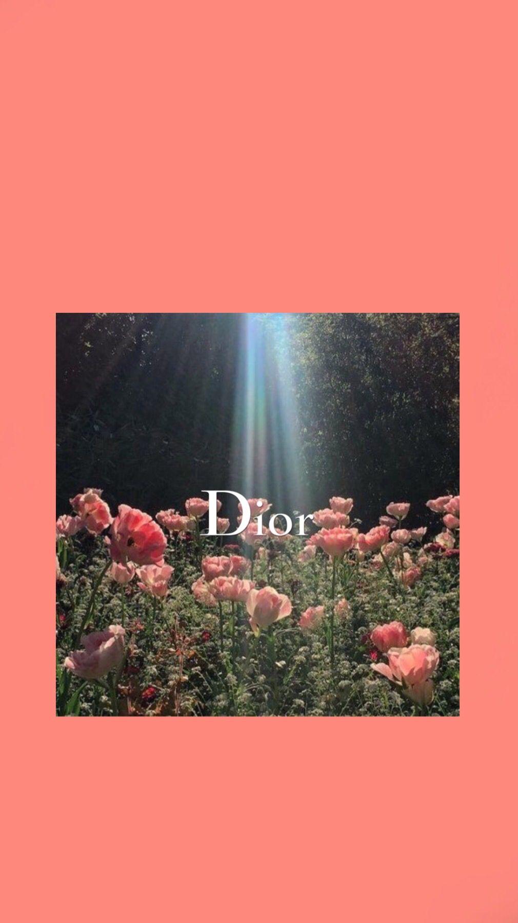 Free download Poppies Dior Wallpaper Dior wallpaper Vintage phone wallpaper  1010x1800 for your Desktop Mobile  Tablet  Explore 20 Iconic  Backgrounds  Wednesday Addams Netflix Wallpapers Ja Morant Wallpapers  Kaws iPhone Wallpapers