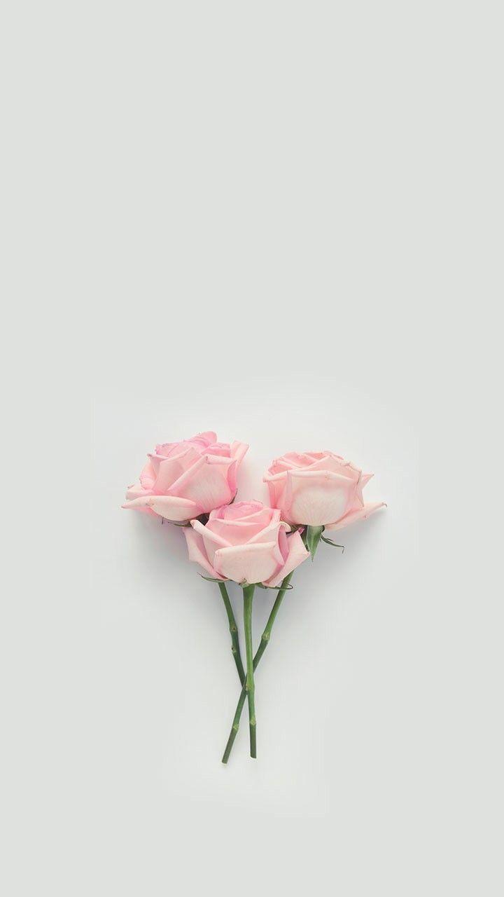720x1280 Wallpaper iPhone Tumblr Pastel Aesthetic Rose Gold Flowers
