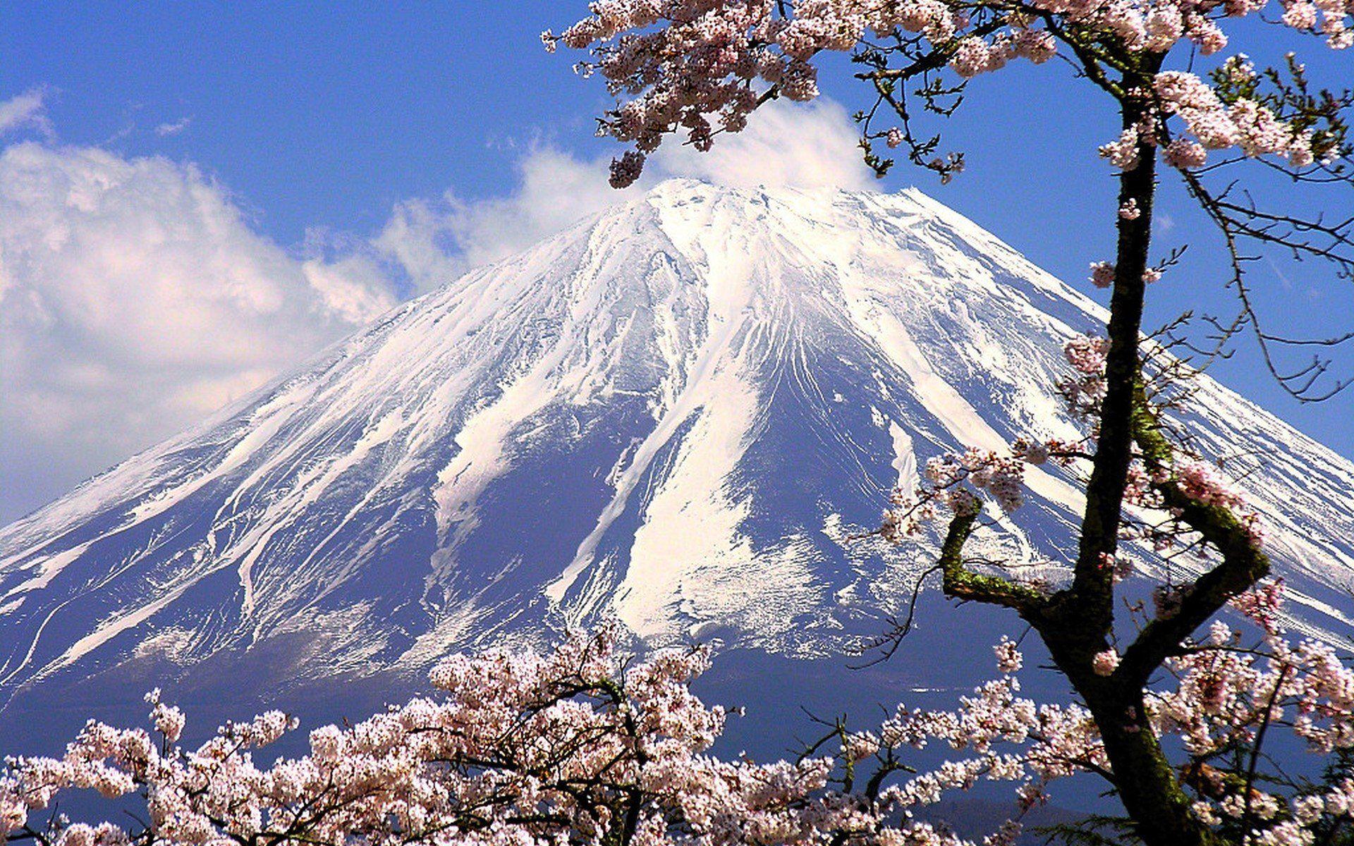 1920x1200 Japanese Cherry Blossom HD