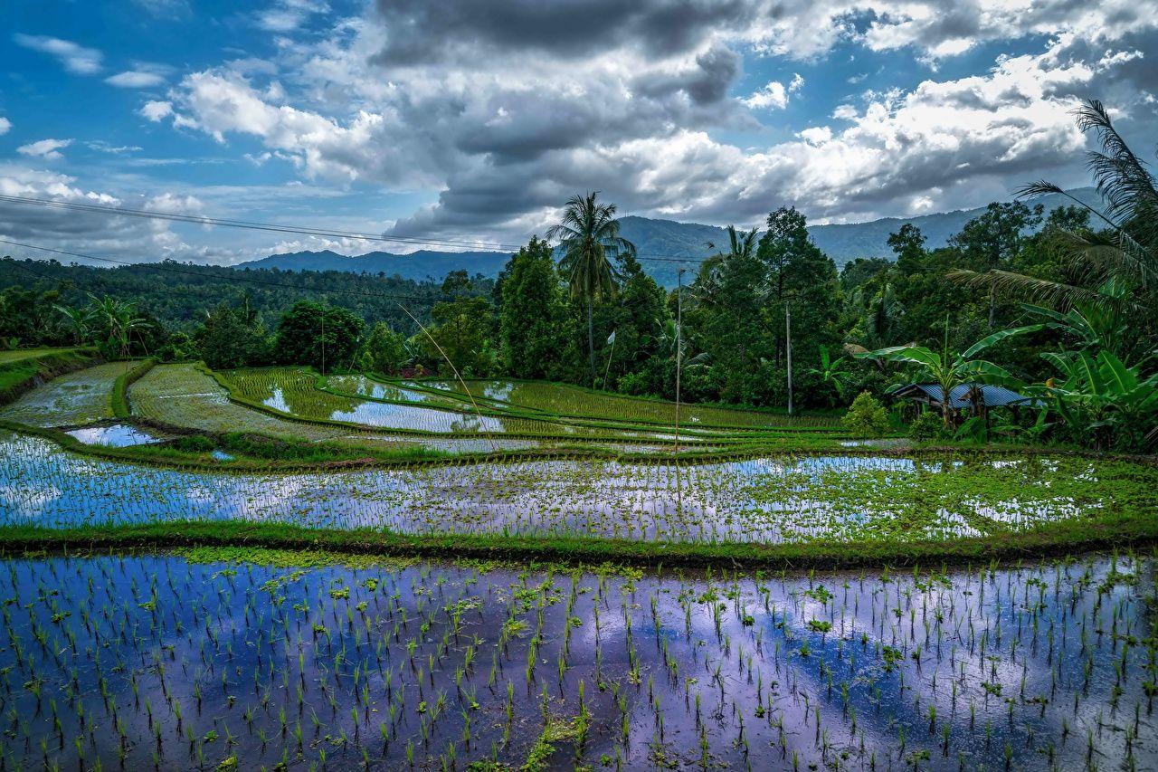 Indonesia Nature Wallpapers - Top Free Indonesia Nature Backgrounds ...