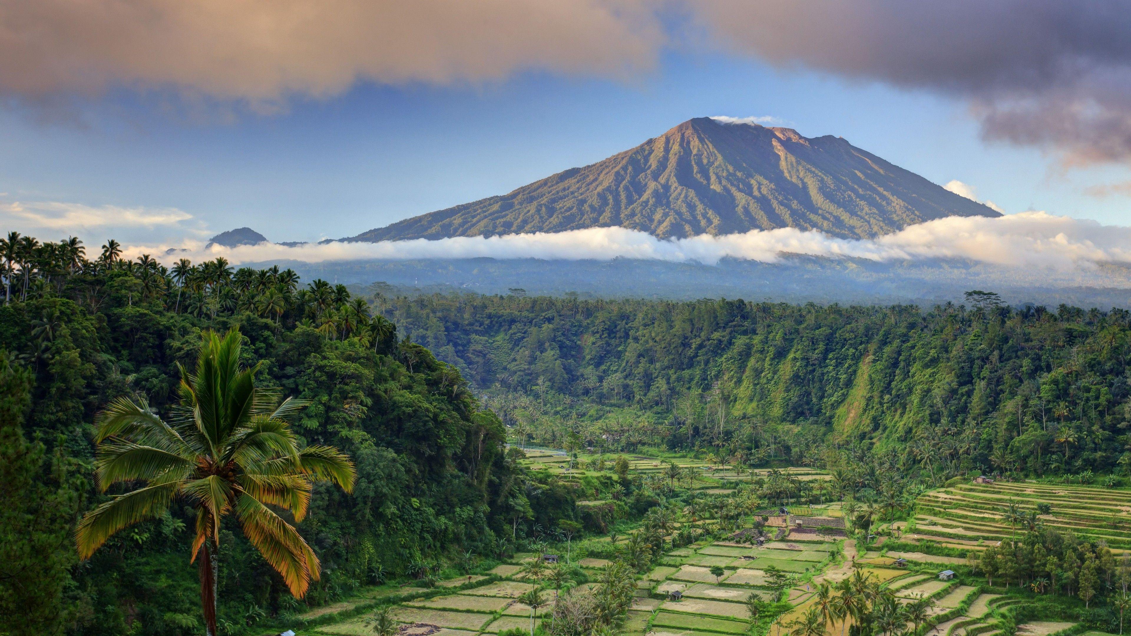 3840x2160 Wallpaper Bali, palms, trees, field, mountain, clouds, 5k, Nature