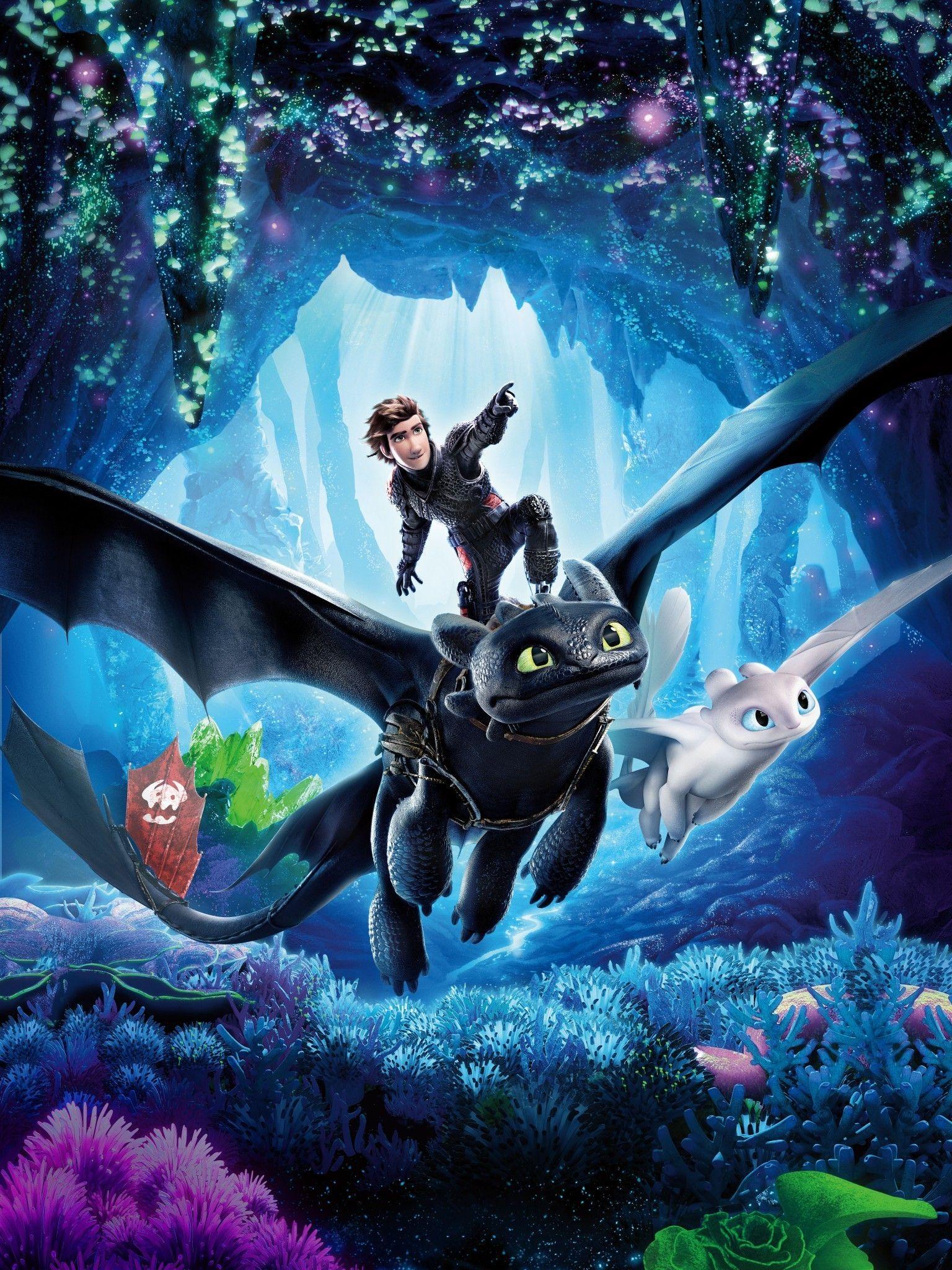 1536x2048 Download 1536x2048 Night Fury, Light Fury, How To Train Your Dragon: The Hidden World, 5k, Toothless, Hiccup, Animation Wallpaper for Apple iPad Mini, Apple IPad 4