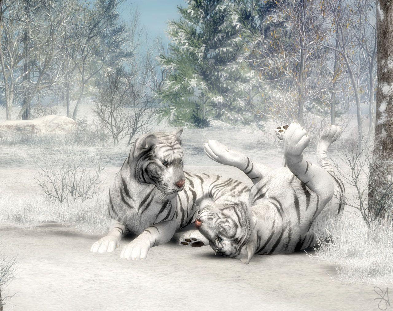 1280x1015 Black And White Picture Anime Forest 30 Desktop Wallpaper