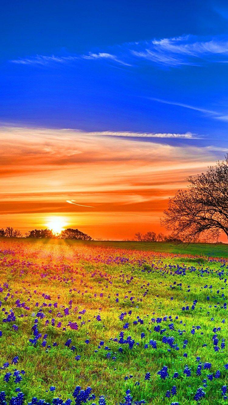 750x1334 Background HD Wallpaper