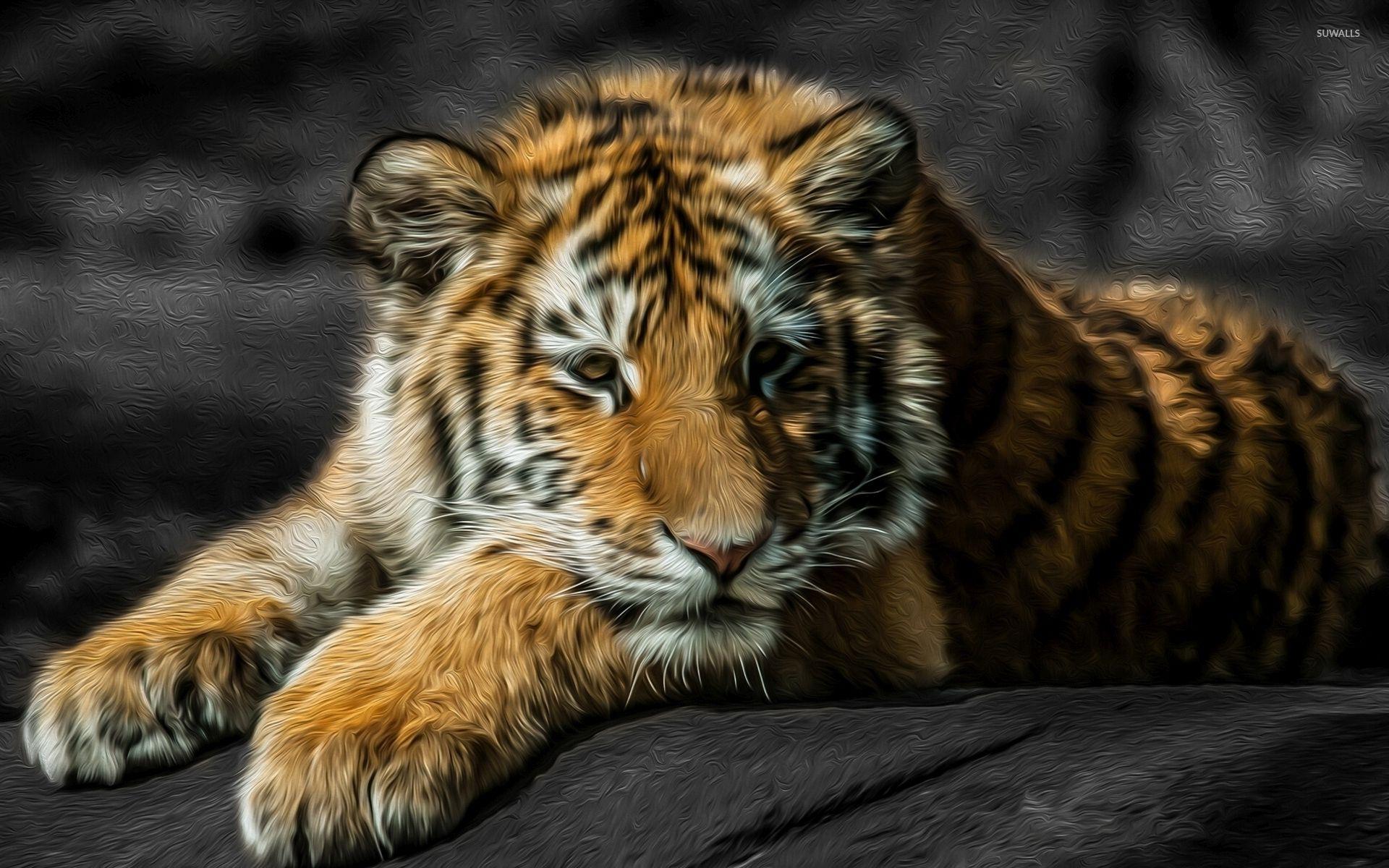 1920x1200 Tiger cub resting on a rock wallpaper wallpaper