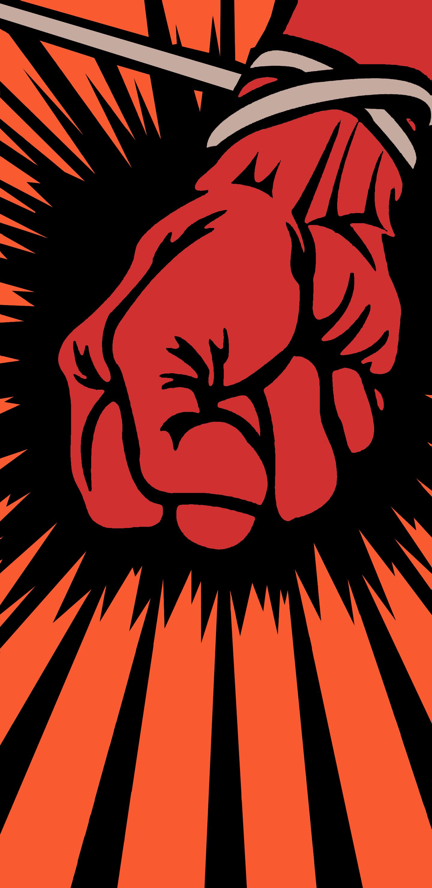 1440x2960 Metallica St Anger