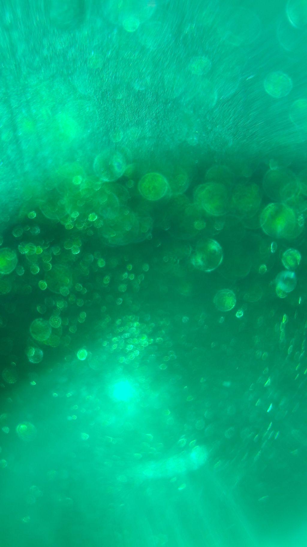 1024x1820 Underwater Wallpaper Tumblr