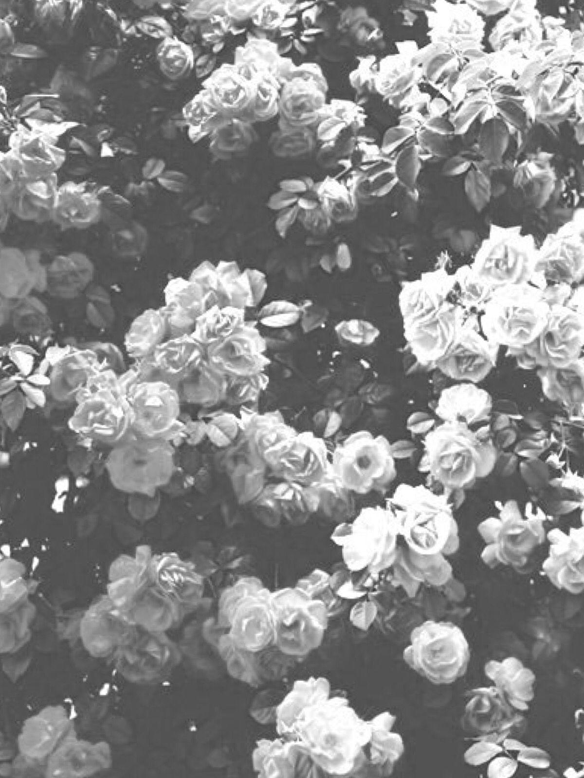 1200x1600 Black And White Aesthetic Roses Wallpaper