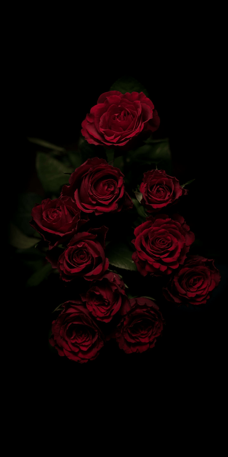728x1456 Aesthetic Dark Wallpaper