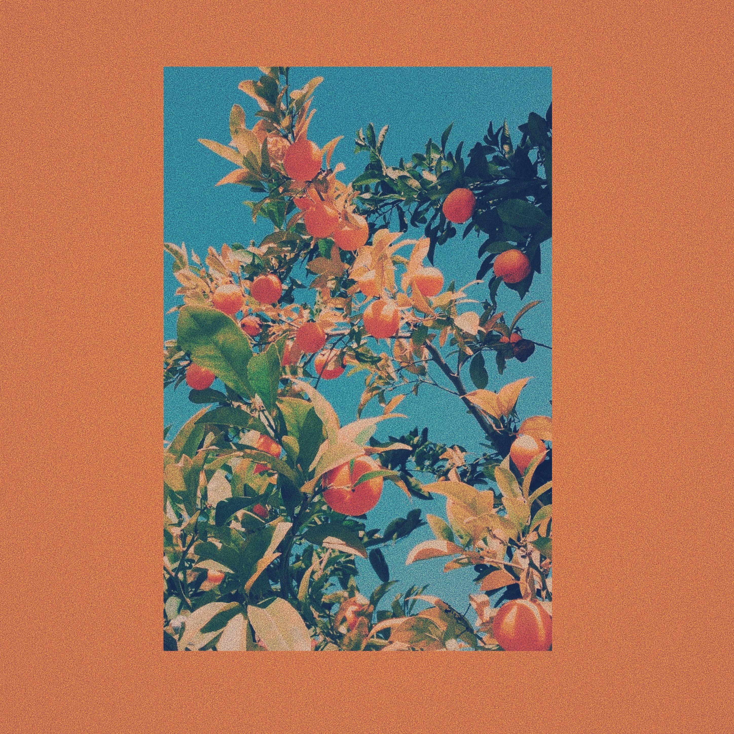 2896x2896 Art Hoe Aesthetic Wallpaper