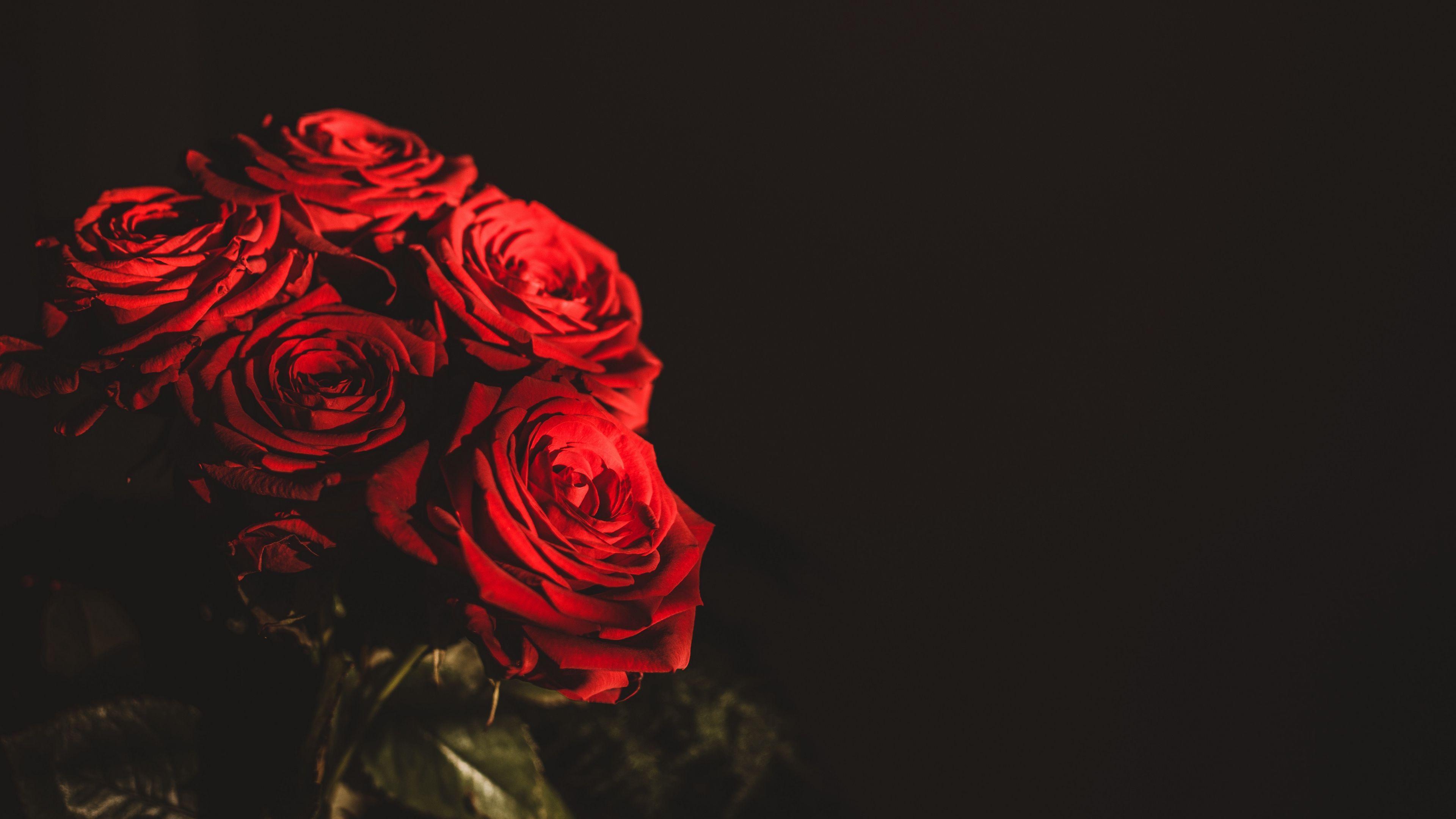 3840x2160 Wallpaper Roses, Bouquet, Flowers, Dark, Red Wallpaper