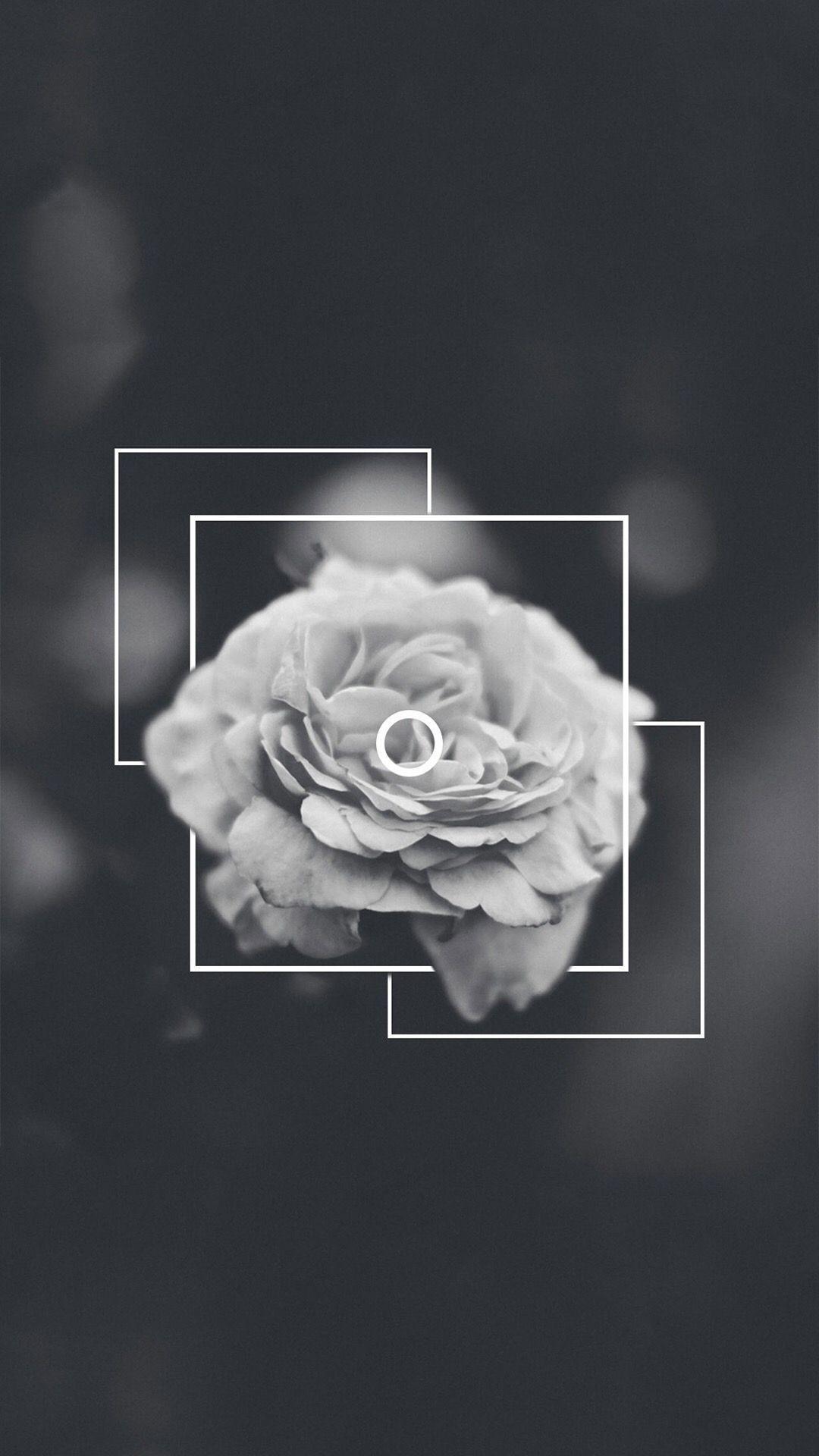 1080x1920 Dark Aesthetic Rose Blurry Rose Wallpaper