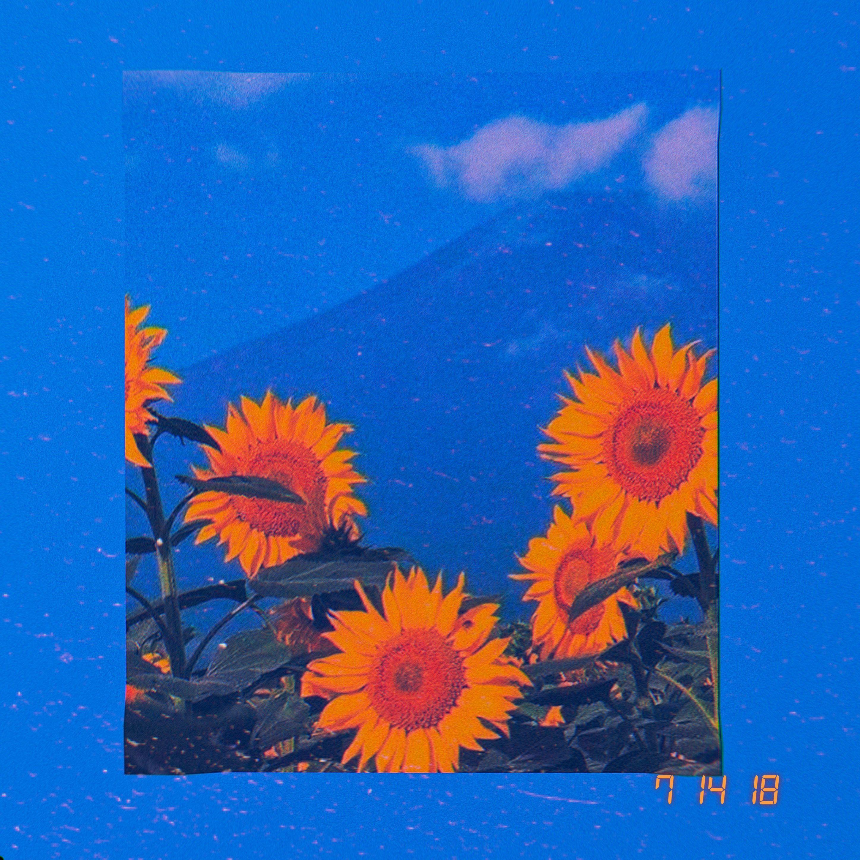 2896x2896 Art Hoe Aesthetic Wallpaper