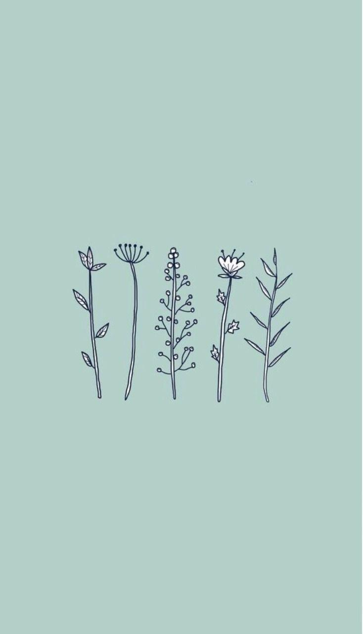 734x1280 Flower Plant Aesthetic Lockscreens Reblog If You Save <3 Requests