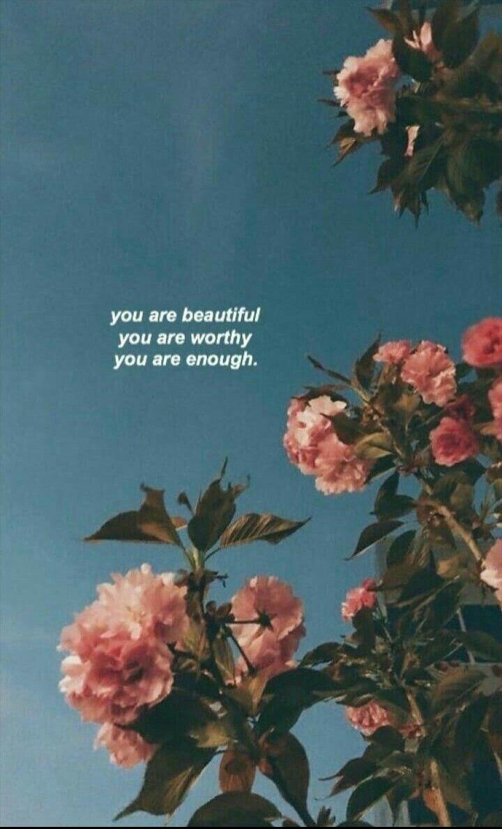 720x1187 ••Phone Wallpaper & Lockscreens••