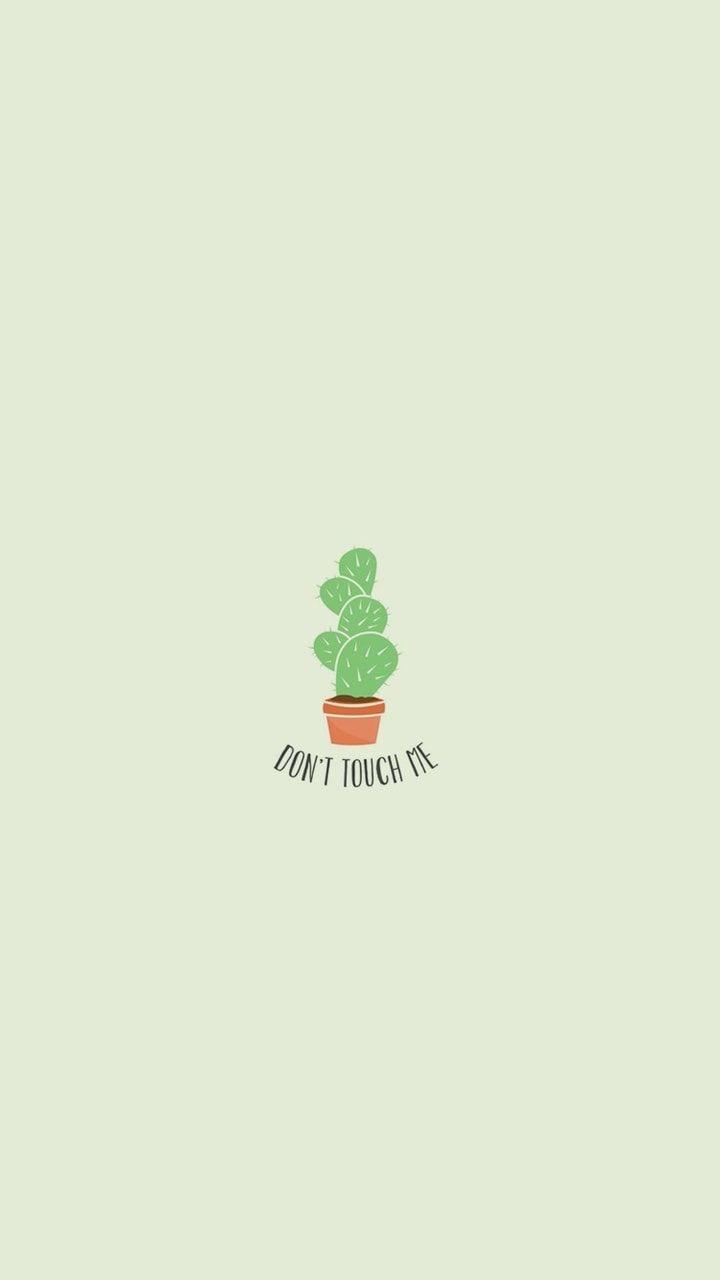 720x1280 device wallpaper, phone wallpaper, phone wallpaper