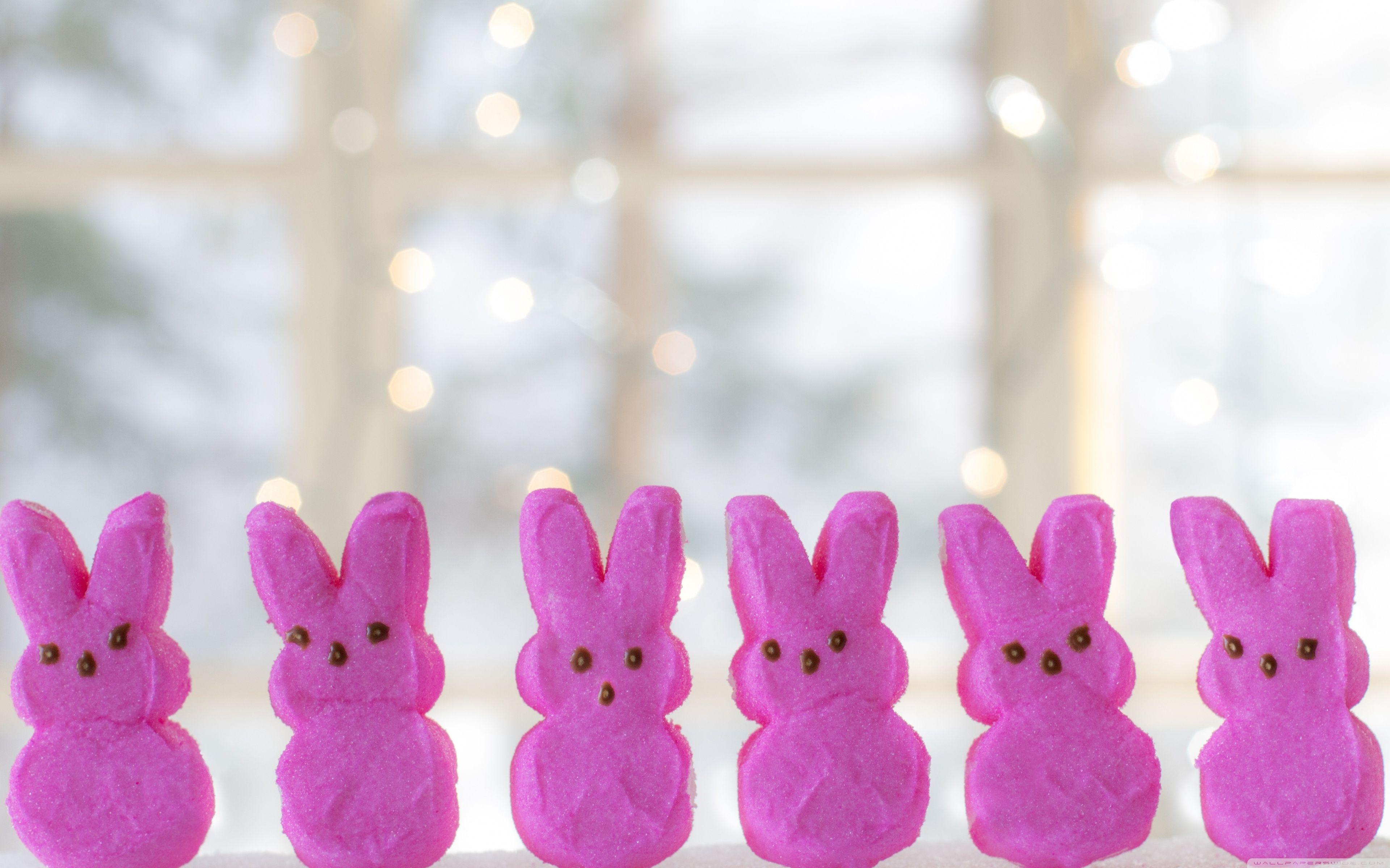 3840x2400 Easter Candy Bunnies Ultra HD Desktop Background Wallpaper for 4K