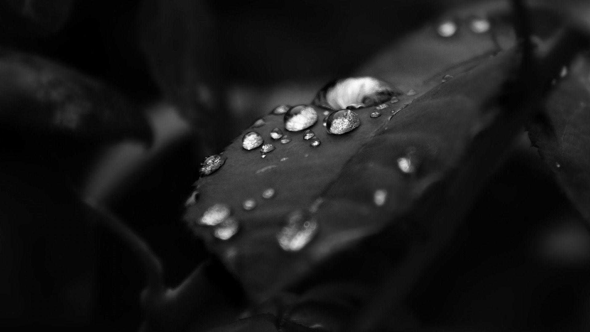 Elegant HD Wallpapers Top Free Elegant HD Backgrounds WallpaperAccess