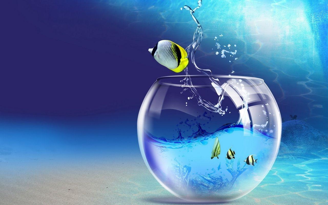 1280x800 1280x800 HD Wallpaper