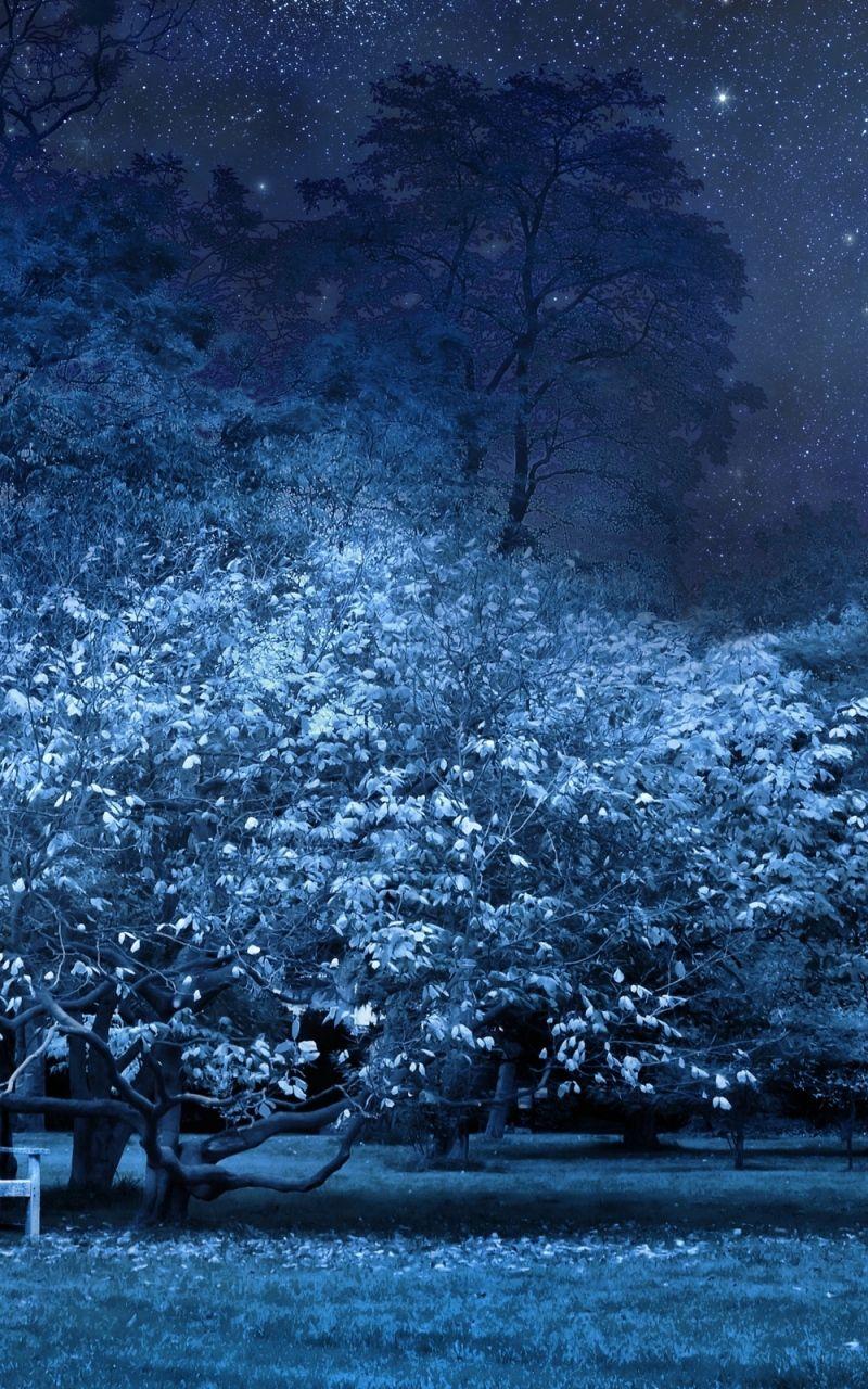 800x1280 Wallpaper 800x1280