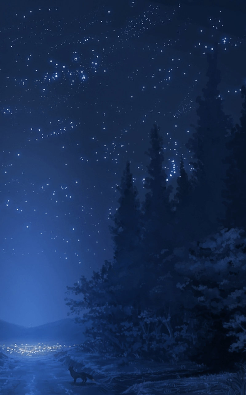 800x1280 Download 800x1280 Anime Landscape, Forest, Night, Stars, Wolf