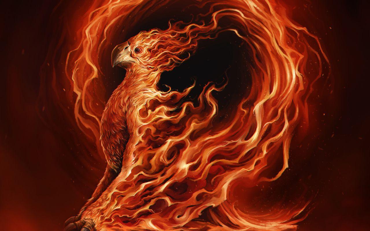 1280x800 Phoenix Illustration 720P HD 4k Wallpaper, Image