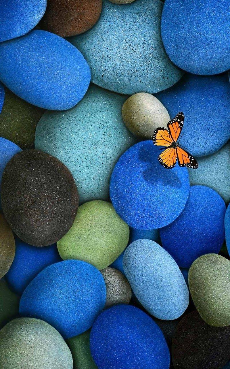 800x1280 Galaxy Note HD Wallpaper: Blue Pebbles Orange Butterfly Galaxy