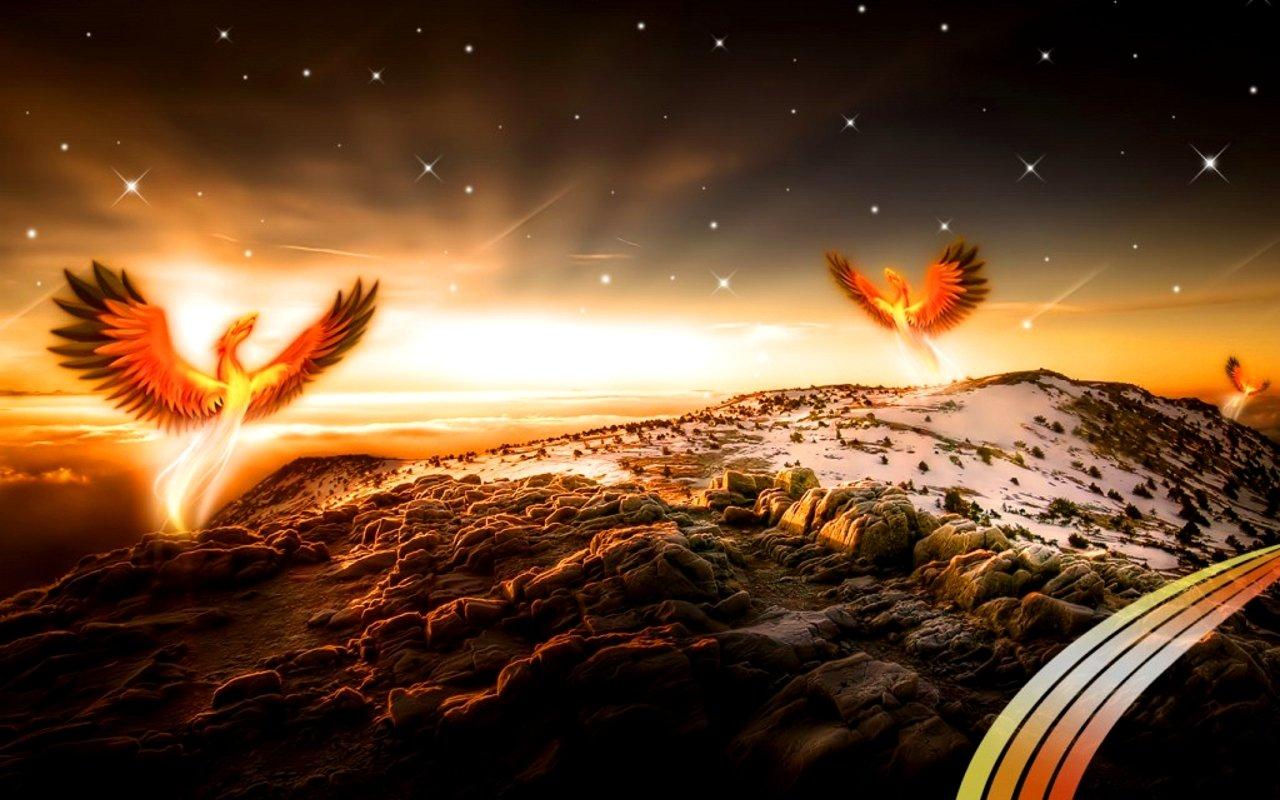 1280x800 Phoenix wallpaper 1280x800 desktop background