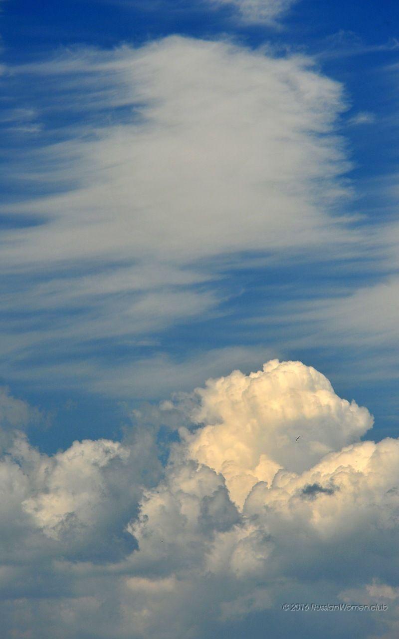 800x1280 Wallpaper for mobile mobile image