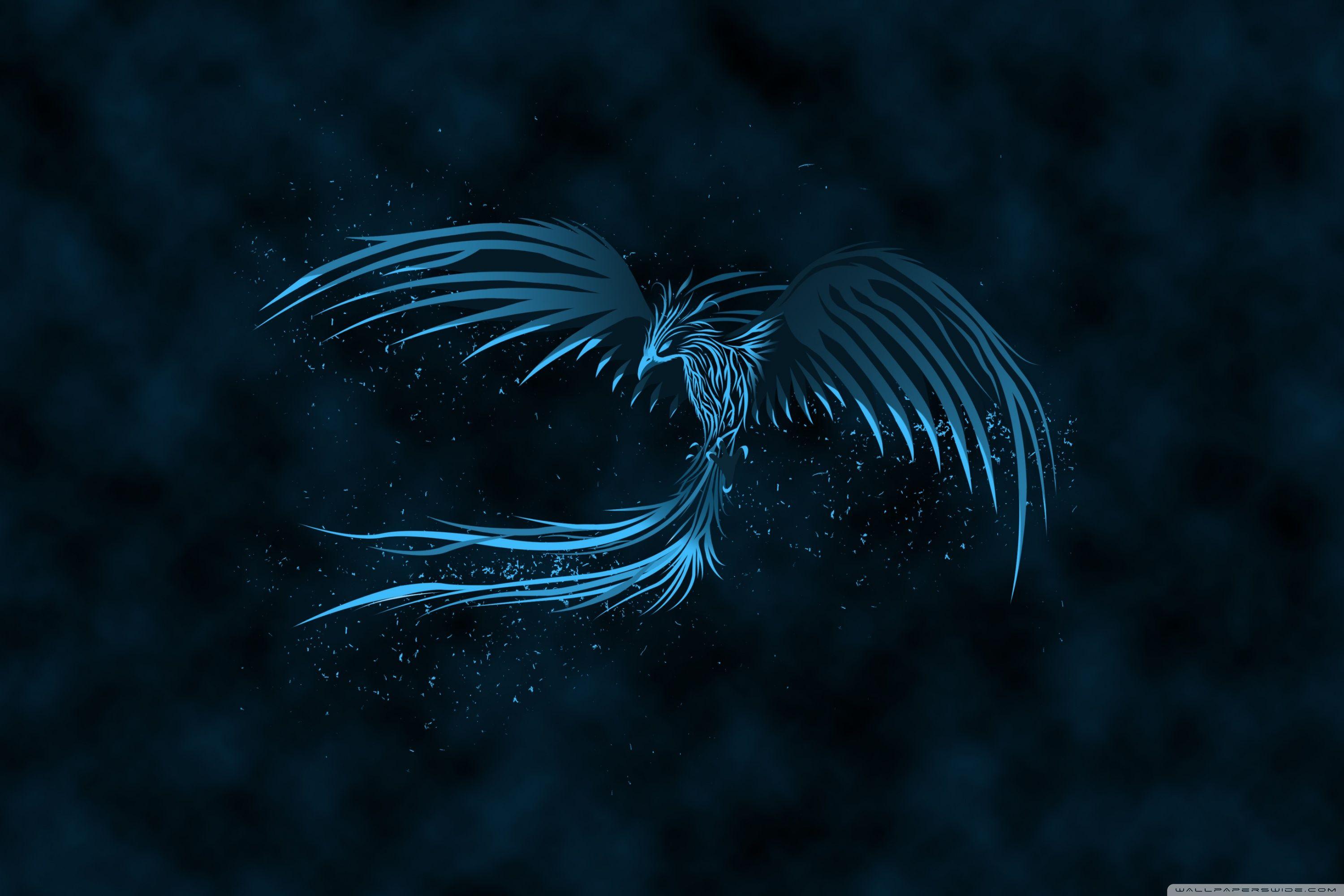 3000x2000 Blue Phoenix Ultra HD Desktop Background Wallpaper
