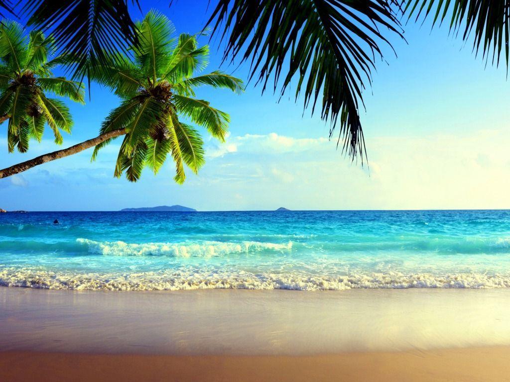 Beach View Wallpapers - Top Free Beach View Backgrounds - WallpaperAccess
