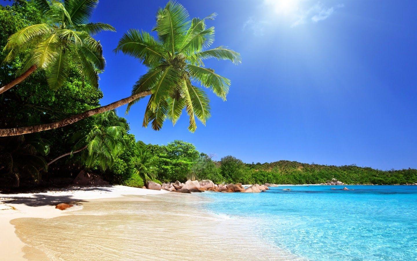 Beach View Wallpapers - Top Free Beach View Backgrounds - WallpaperAccess