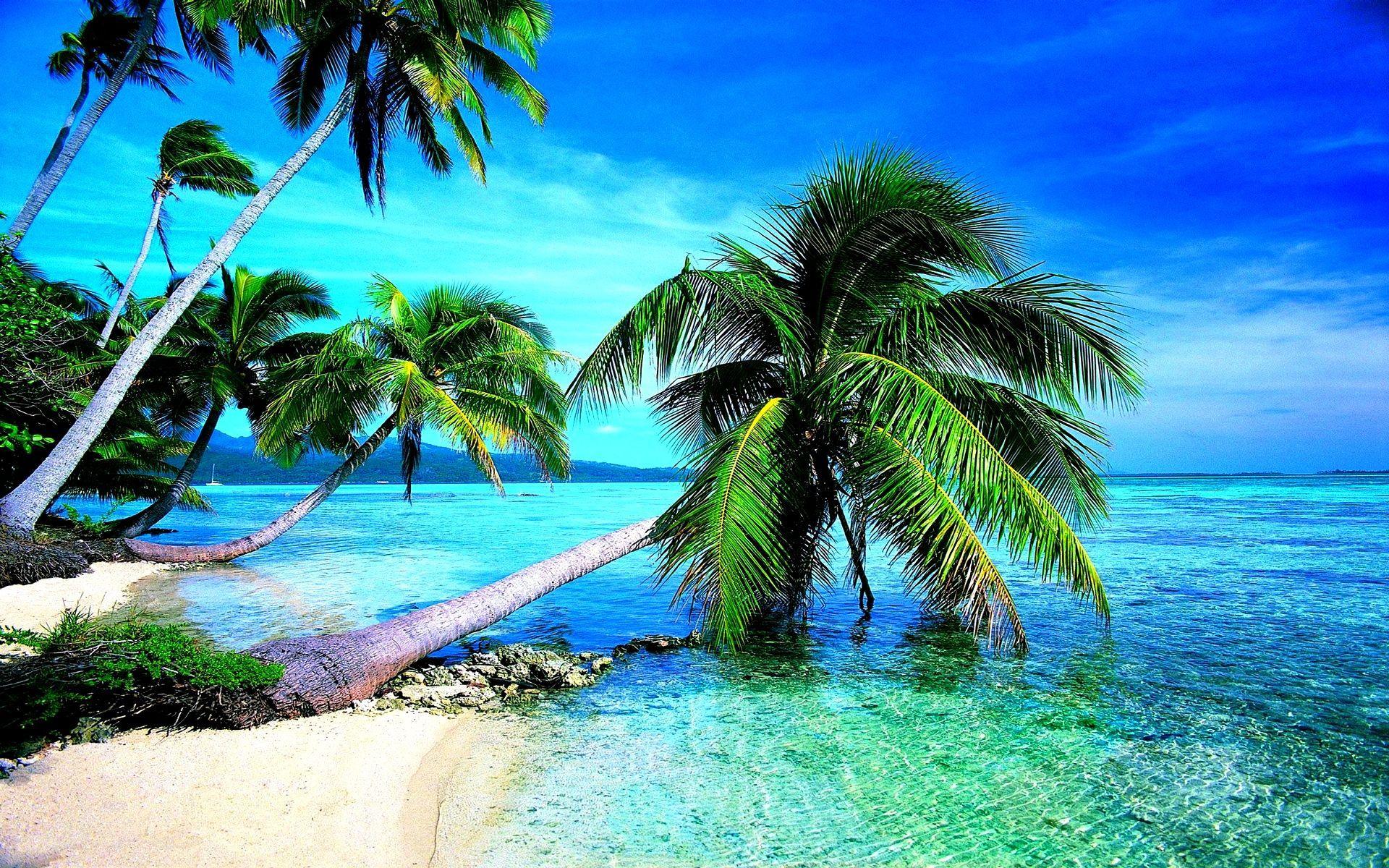 Beach View Wallpapers - Top Free Beach View Backgrounds - WallpaperAccess