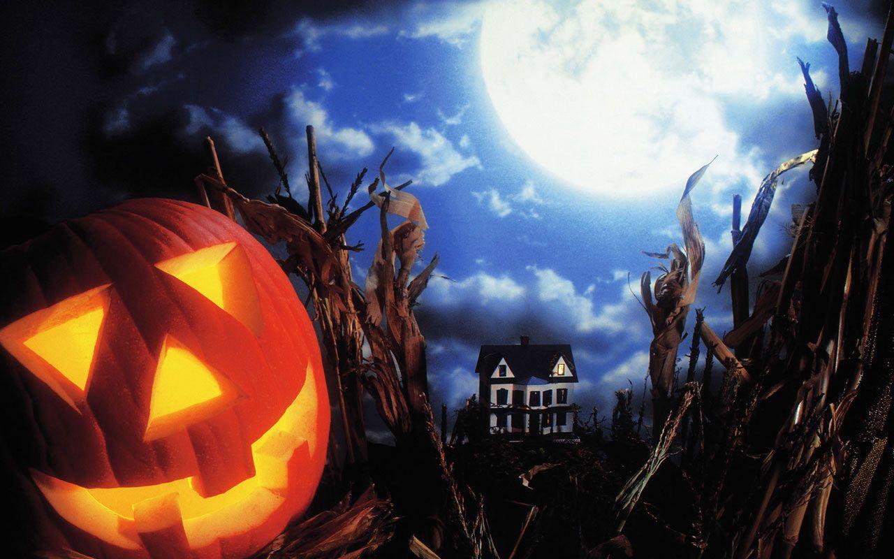 1280x800 Free download Halloween Wallpaper 4 Wallpaper size 1280x800