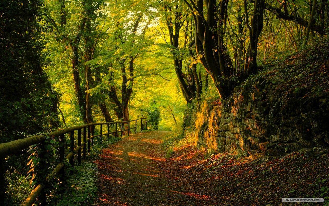 1280x800 Free Wallpaper Nature wallpaper Landscape 2 wallpaper